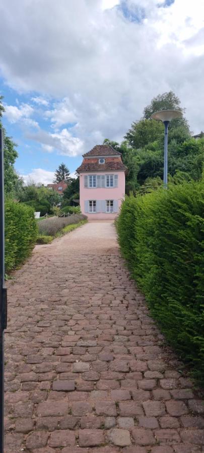 Ferienwohnung Am Kirchberg Ettenheim Dış mekan fotoğraf