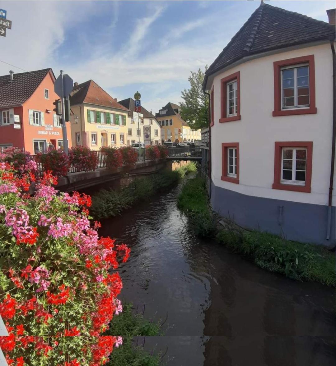 Ferienwohnung Am Kirchberg Ettenheim Dış mekan fotoğraf